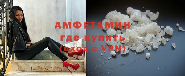 шишки Заволжье