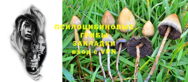 spice Зеленокумск