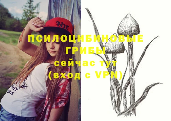 шишки Заволжье