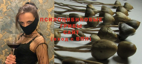 ПСИЛОЦИБИНОВЫЕ ГРИБЫ Зеленодольск