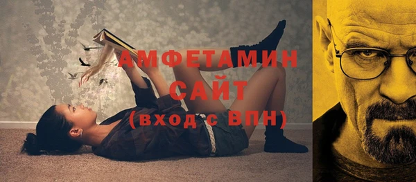 шишки Заволжье