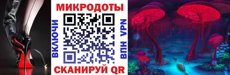 Купить закладки  Касли  Галлюциногенные грибы Cubensis 